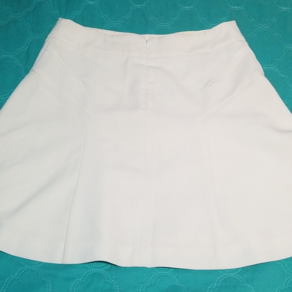 Express Skirt - Picture 3 of 6